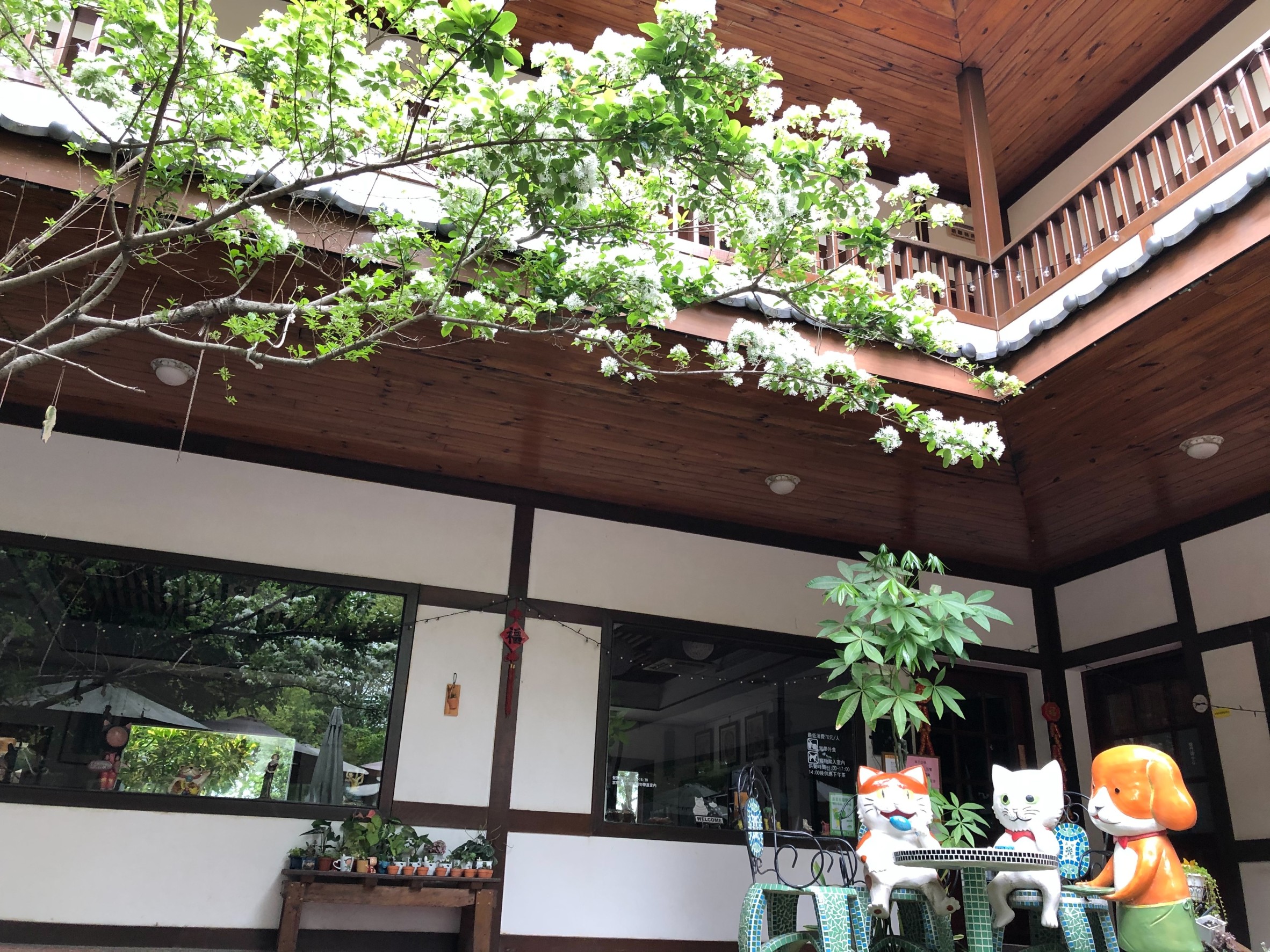 陶鄉民宿 (板陶窯內)