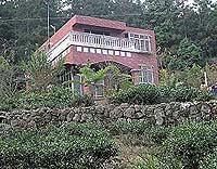 閒雲居民宿
